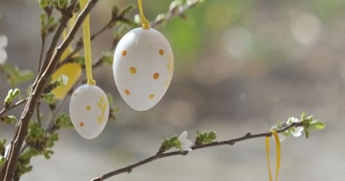 Hälsosamma rätter på påskbuffén!