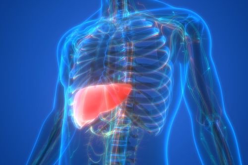 Fettlever symtom: Så märker du om din lever är överbelastad