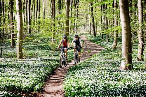 Hälsokontroller för dig som tränar - säkerställ att din träning är hälsosam