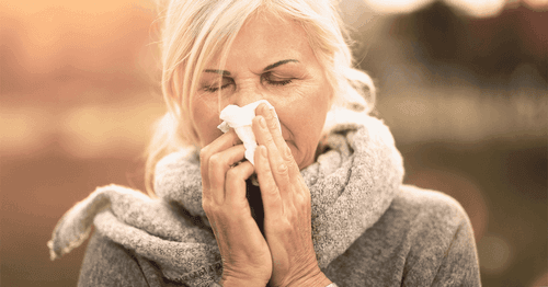 Pollenallergi – Symtom och behandling – Werlabs
