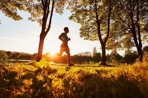 Vad visar ett CK-värde? Kreatinkinas och träning