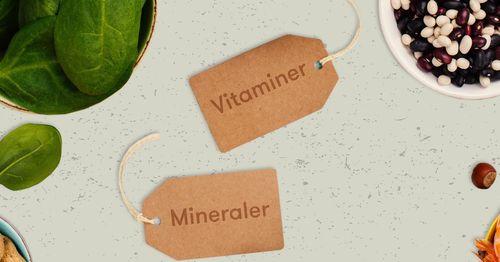 Vitaminer, mineraler och spårämnen – håll koll på din status